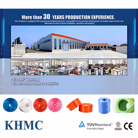 Horticultural Black Twist Rope Packaging Round Baler Twine Making Machine